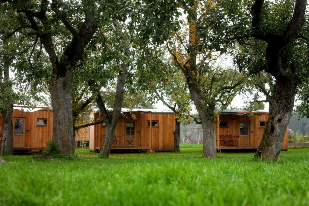 Tinyhaus Kirsch Holiday home *
